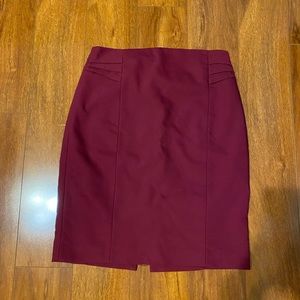 Express Pencil Skirt
